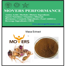 Natural and Organic Herb Extract: Maca Extract